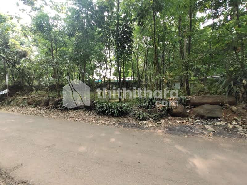 18 Cent Residential Land available for Sale in Muvattupuzha Ernakulam