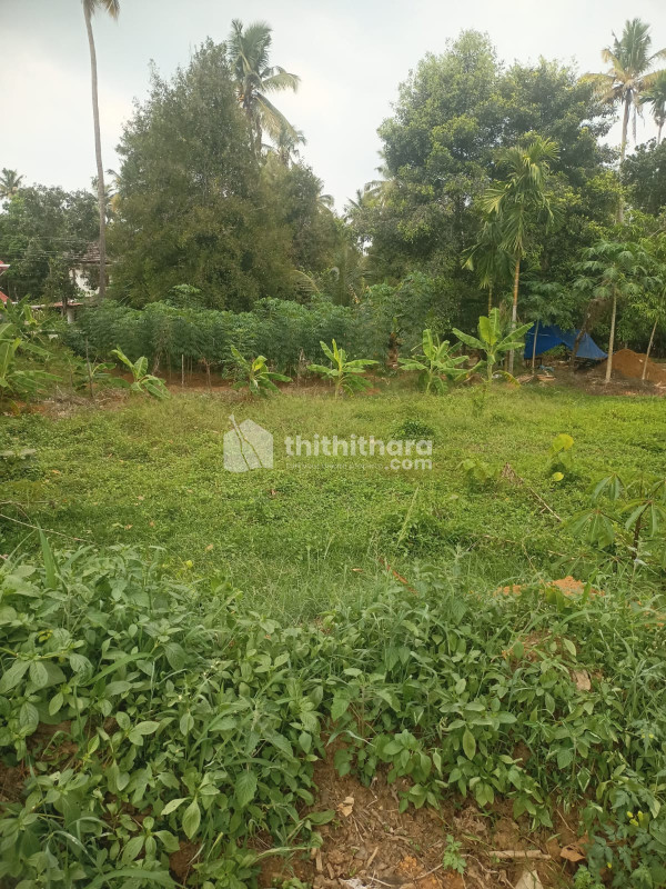 Residential Land available for Sale in Angamaly Ernakulam