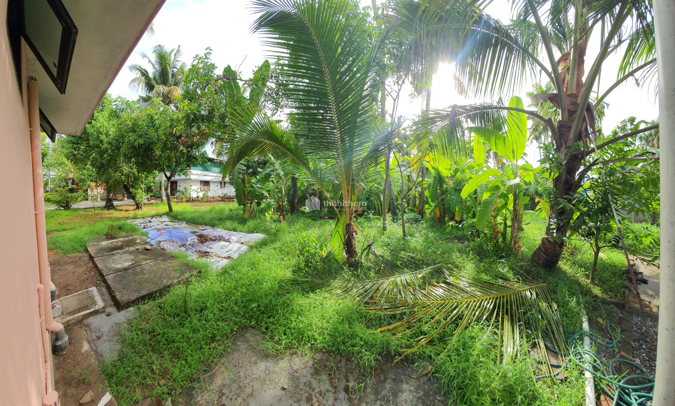 3BHK Independent House available for Sale in Varapuzha Ernakulam