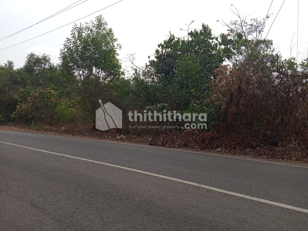 Residential Land for Sale in Kasaragod