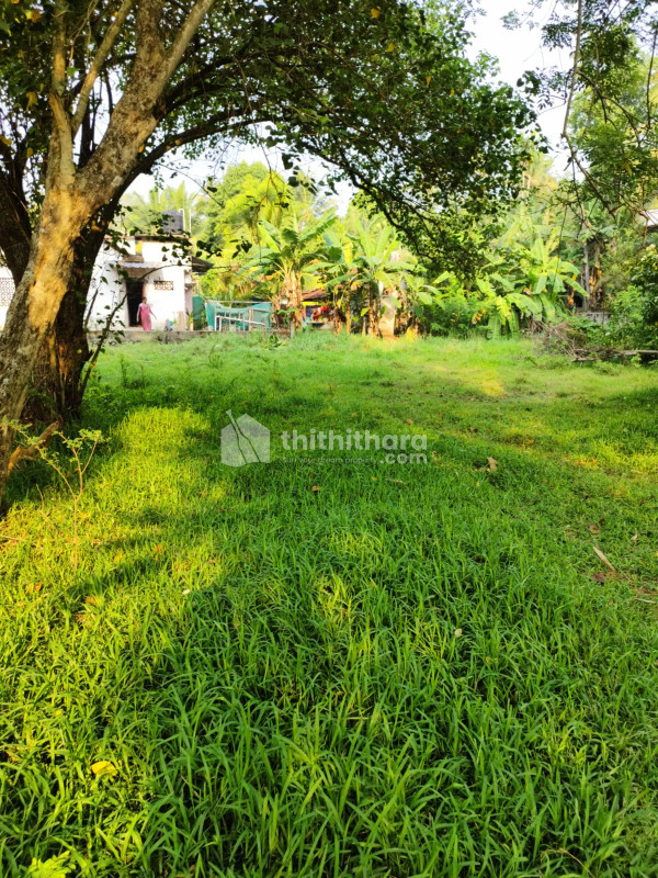 Residential Land available for Sale in Aymanam Kottayam