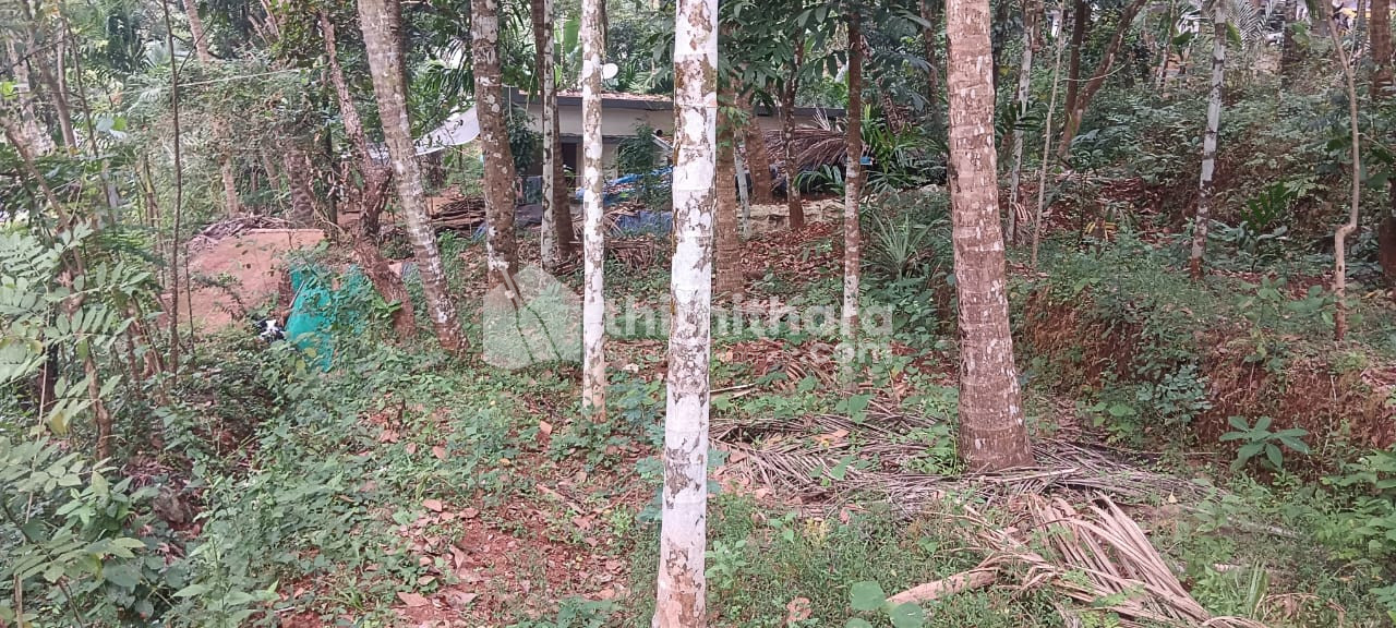 Residential Land available for Sale in Quilandy Kozhikode