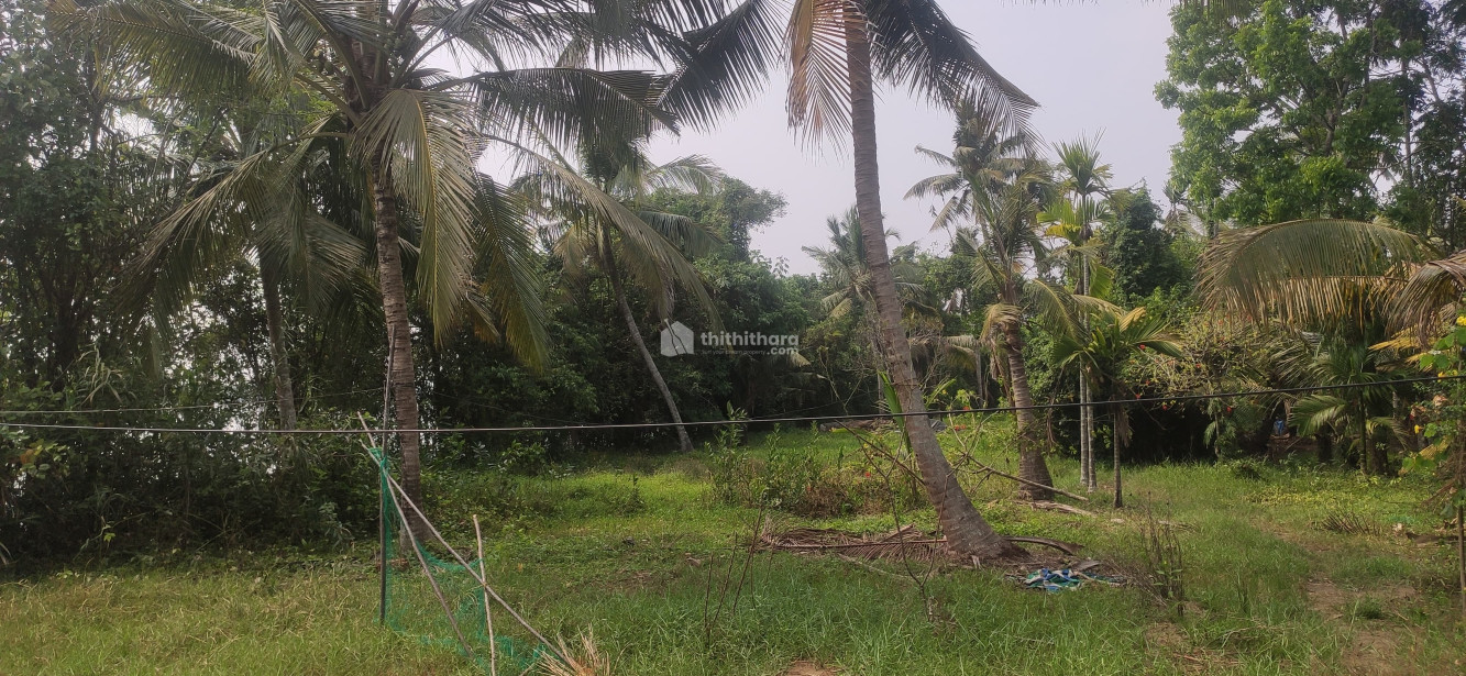 Residential Land available for Sale in Vaikom Kottayam