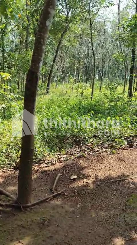 Commercial Plot available for Sale in Thaliparamba Kannur