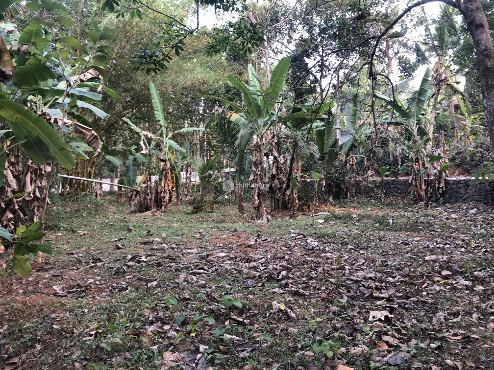 Commercial plot for sale at Kozhenchery Ernakulam