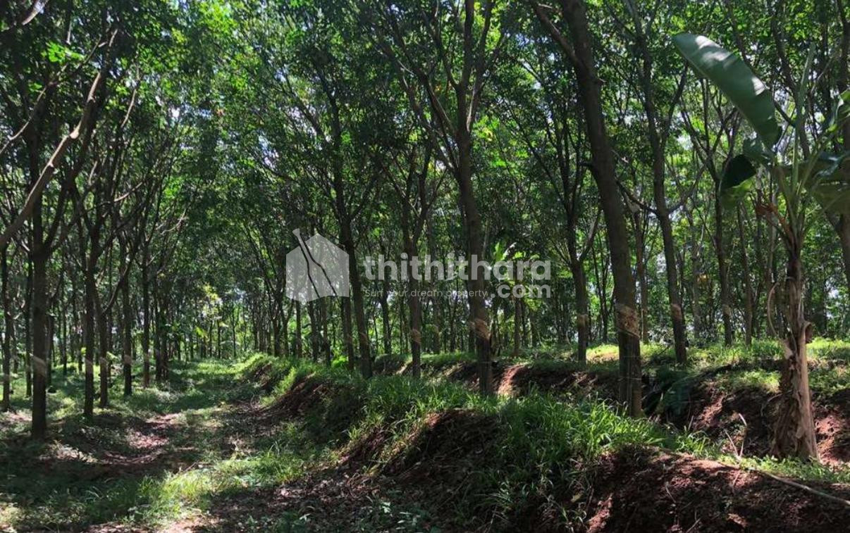 Commercial Plots available for Sale in Chadayamangalam Kollam