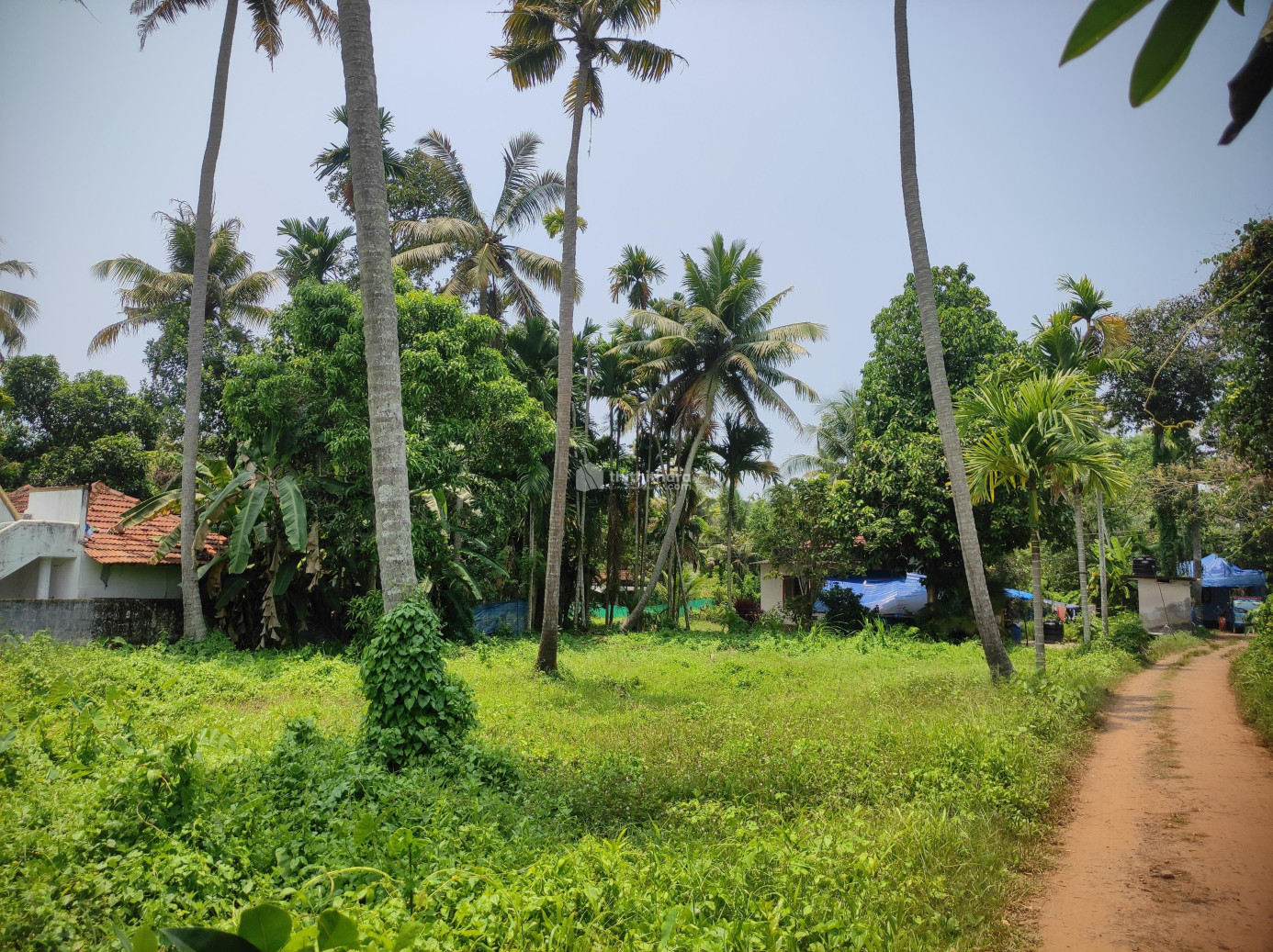 Residential Land available for Sale in Cherthala Alappuzha