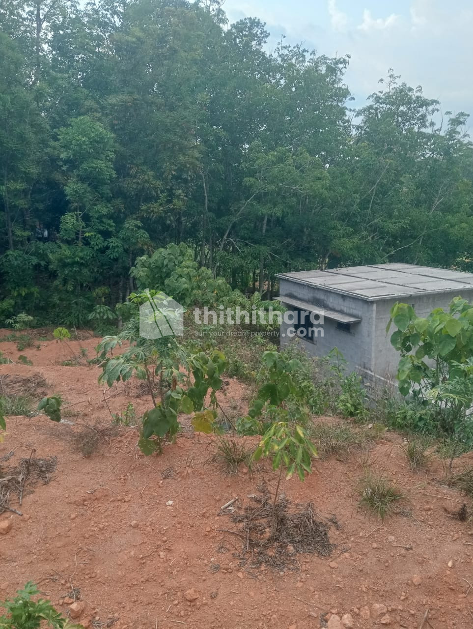 Residential Land for sale at Chadayamangalam Kollam