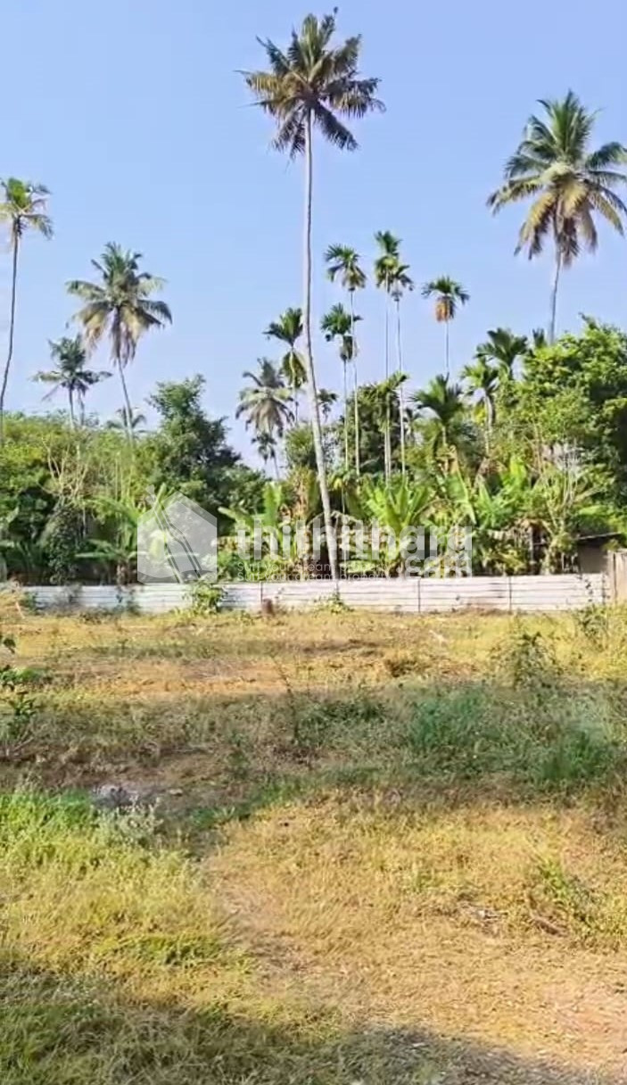 Commercial Plot For Sale in Kodakara thrissur