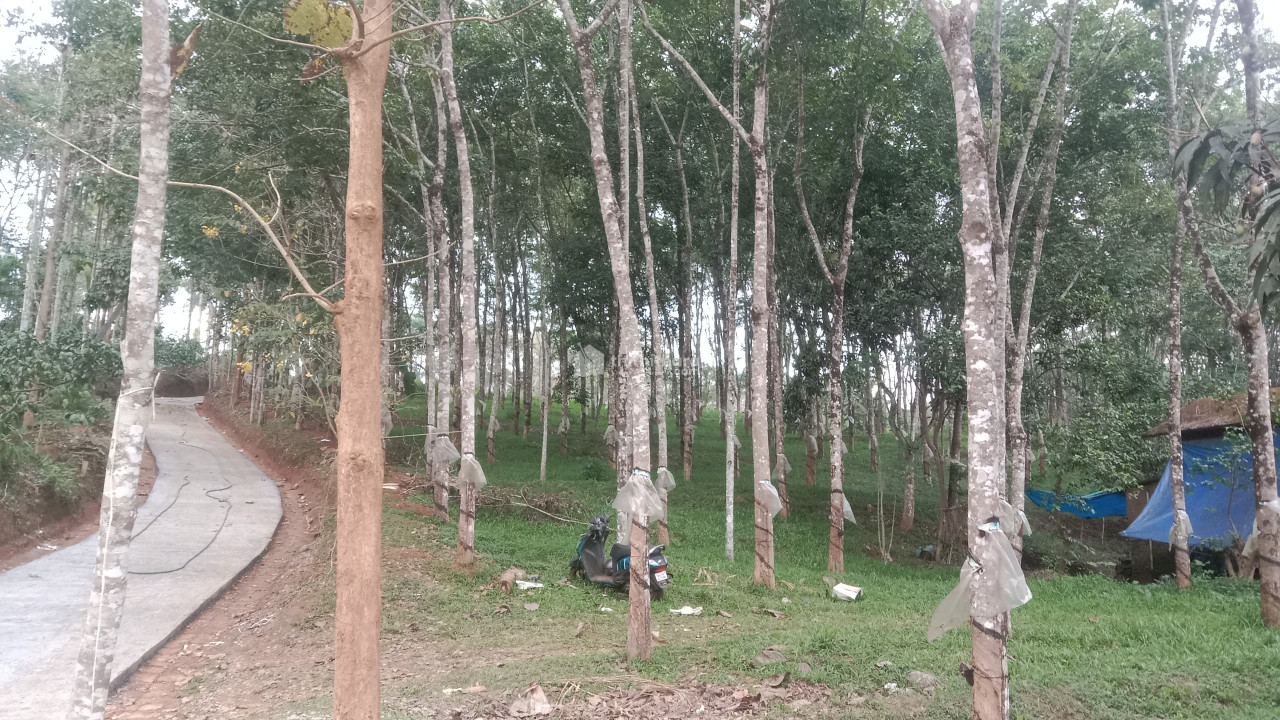 Commercial Plots available for Sale in Mananthavady Wayanad