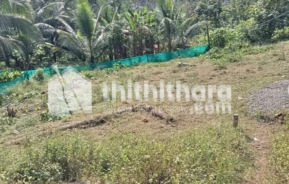 Residential Land available for Sale in Tirurangadi Malappuram