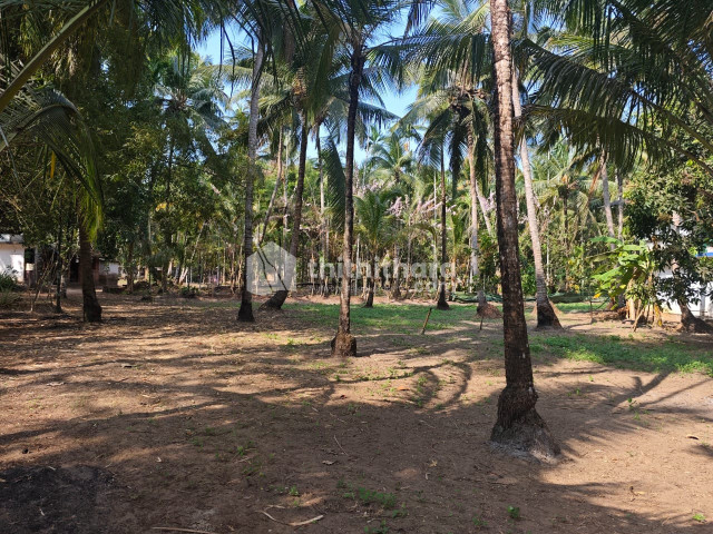Residential Land available for Sale in Chavakkad Thrissur