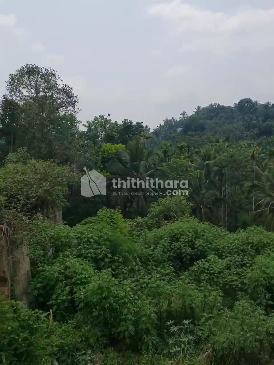 Commercial Plots available for Sale in Mananthavady Wayanad