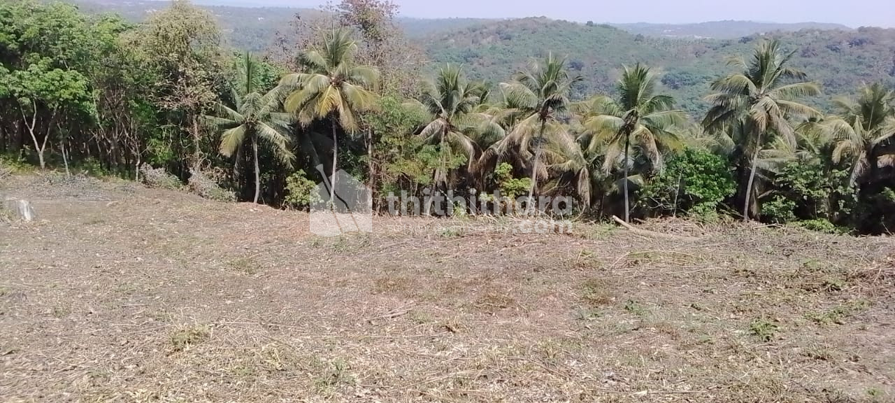 Commercial Plot for sale at Kanhangad Kasaragod