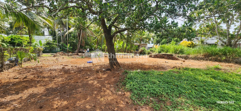 Residential Land available for Sale in Puthukkad Thrissur