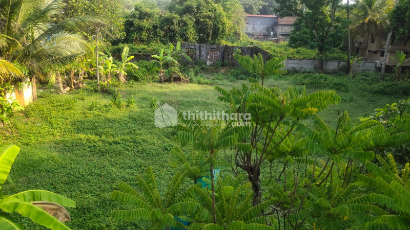 Residential Land available for Sale in Aluva Ernakulam