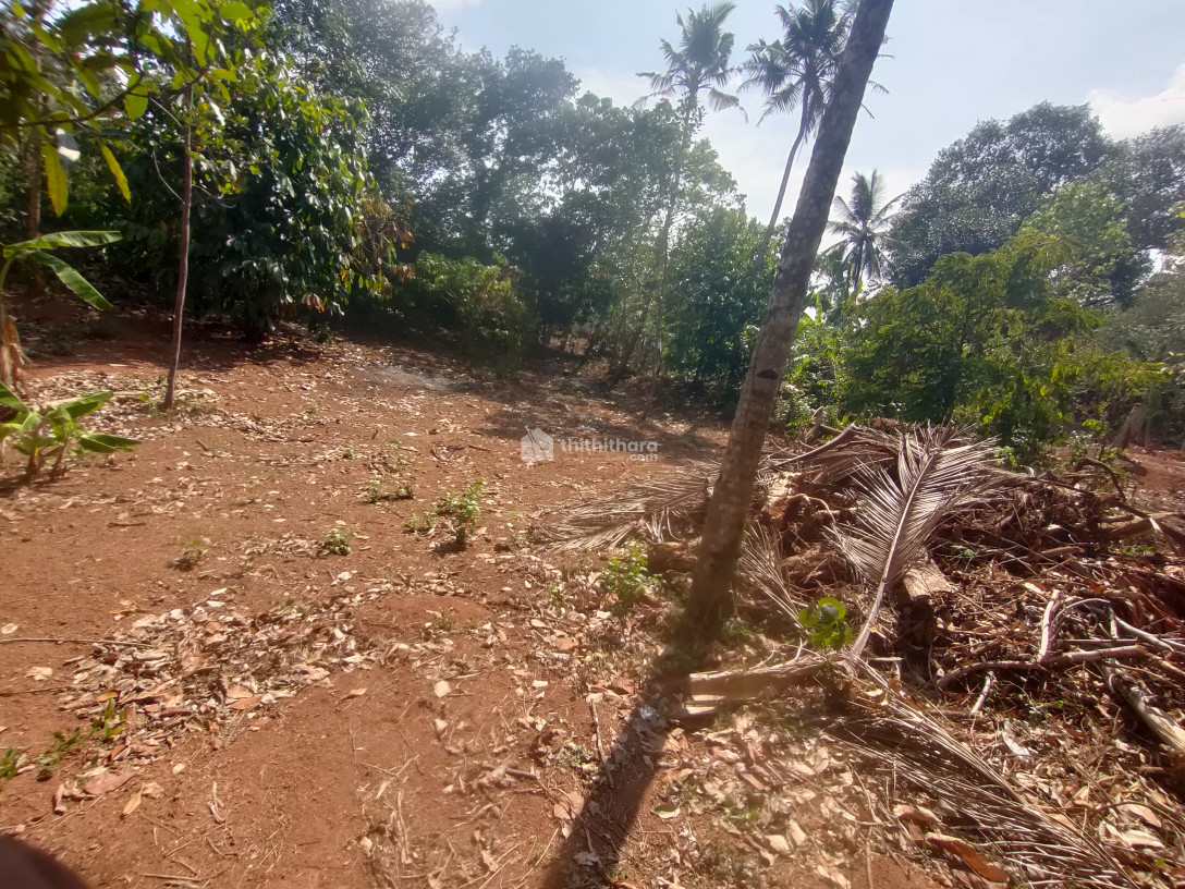 Residential Land available for Sale in Kundara Kollam