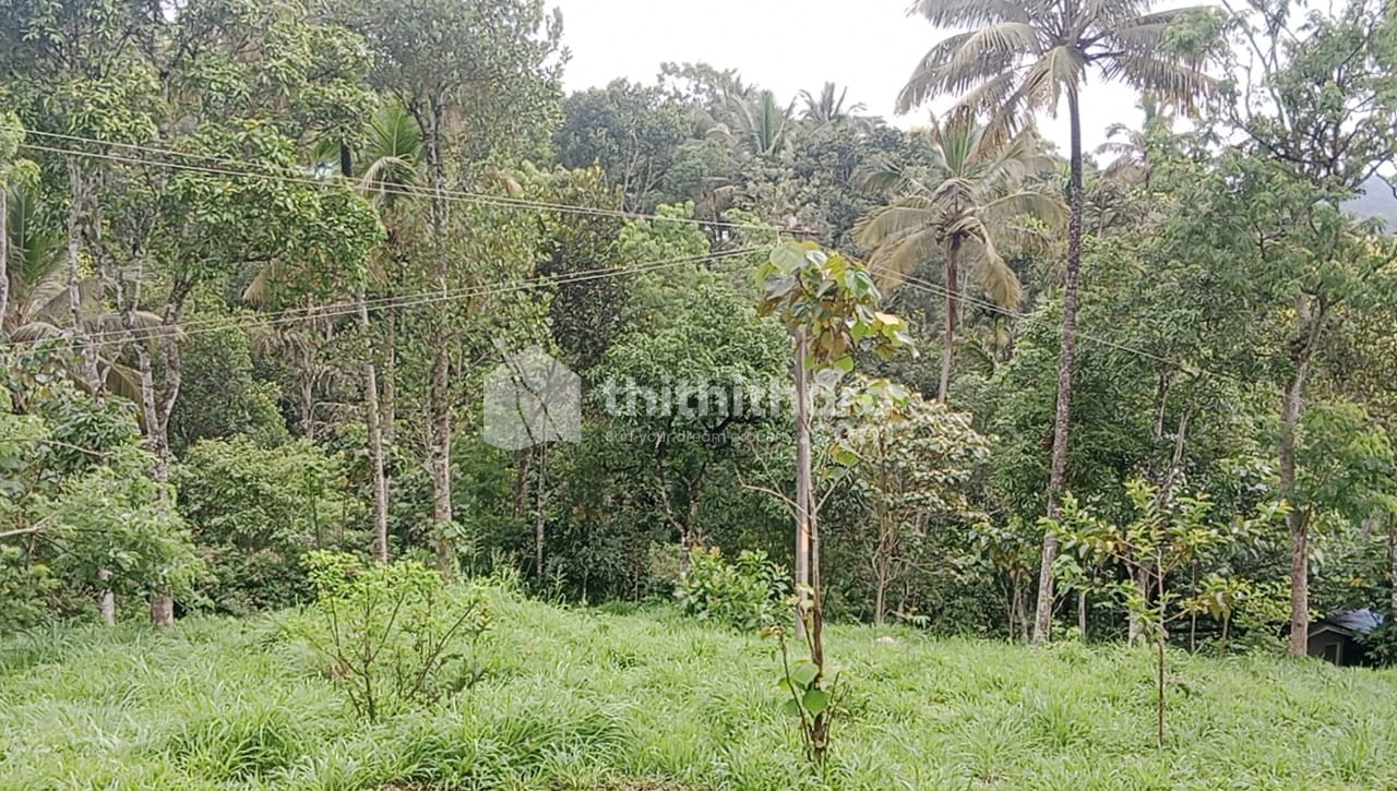 Commercial Plots available for Sale in Udumbanchola Idukki