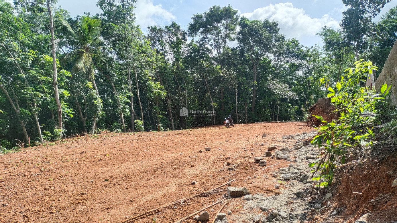 Residential Land available for Sale Nedumangad Thiruvananthapuram