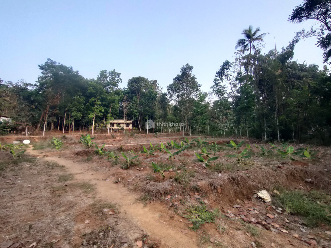 Residential Land available for Sale in Pala Kottayam