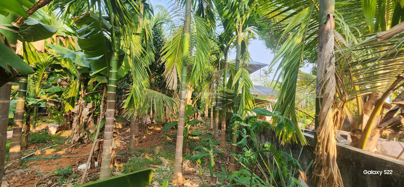 Residential Land available for Sale in Puthukkad Thrissur