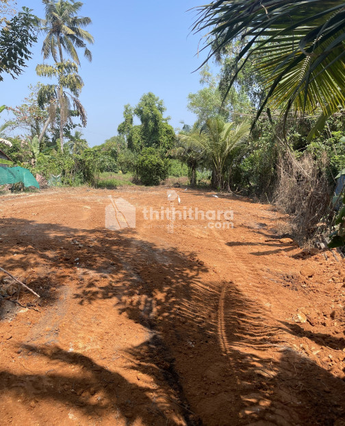 Residential Land for sale at Ambalappuzha Alappuzha