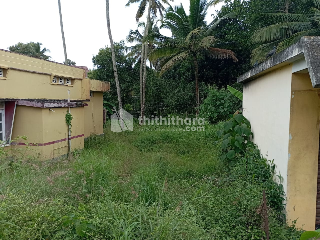 Residential Land available for Sale in Punalur Kollam