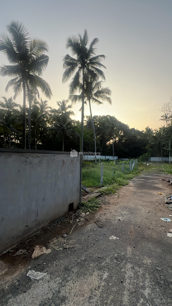 Residential Land For sale in Kuttoor Thrissur