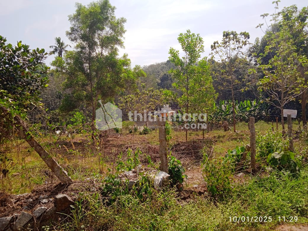 Residential Land available for Sale in Nedumangad Thiruvananthapuram