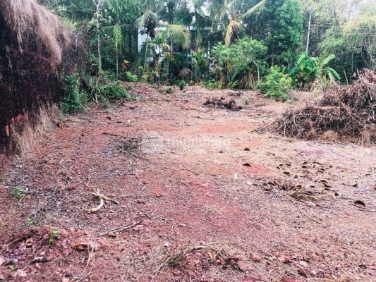 Residential Land for sale at Parappanangadi Malappuram
