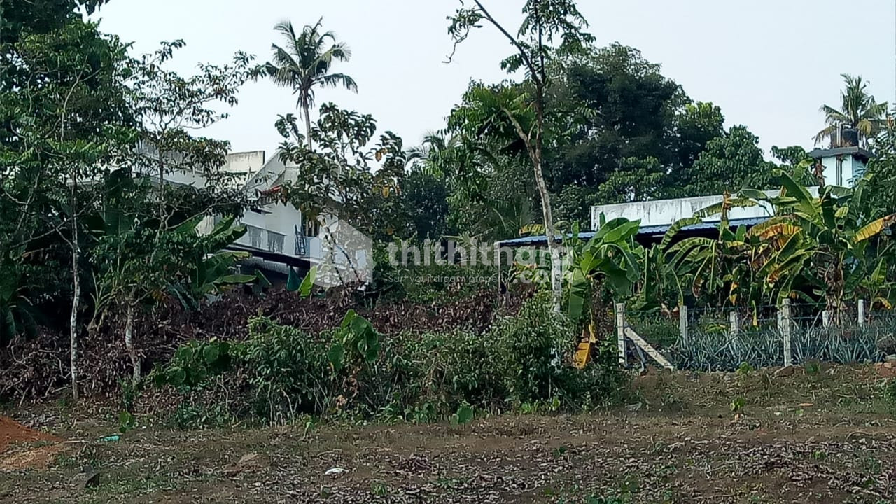 Residential Land available for Sale in Muvattupuzha Ernakulam
