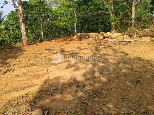 6 Cent Residential land for sale at Thiruvaniyur, Ernakulam