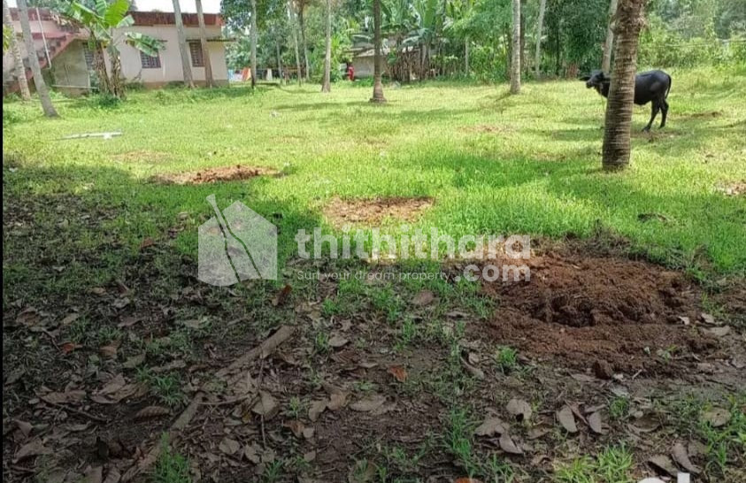 Residential Land available for Sale in Chengannur Alappuzha