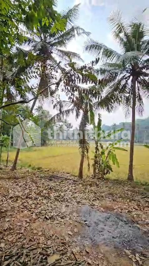 Commercial Plots available for Sale in Vaikom Kottayam