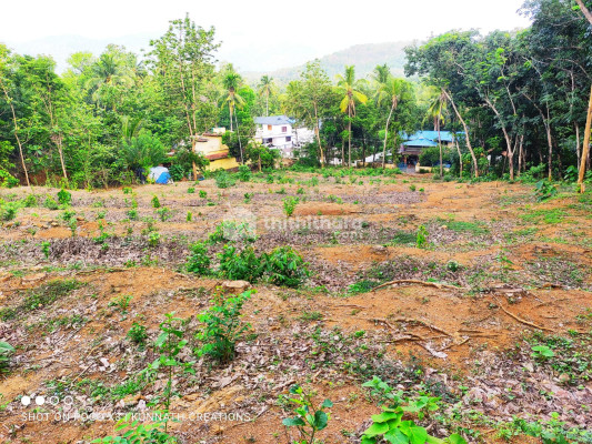 20 cent Plot For Sale at Elanad, Wadakkancheri