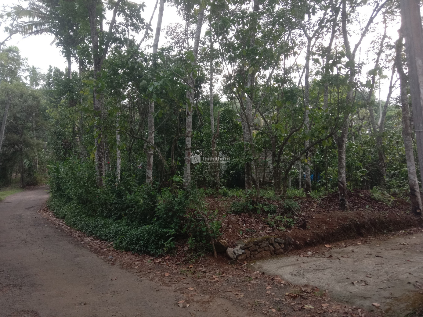  commercial Plots available for Sale in Peerumade Idukki