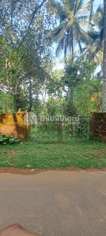 Commercial Plots available for Sale in Elathur Kozhikode