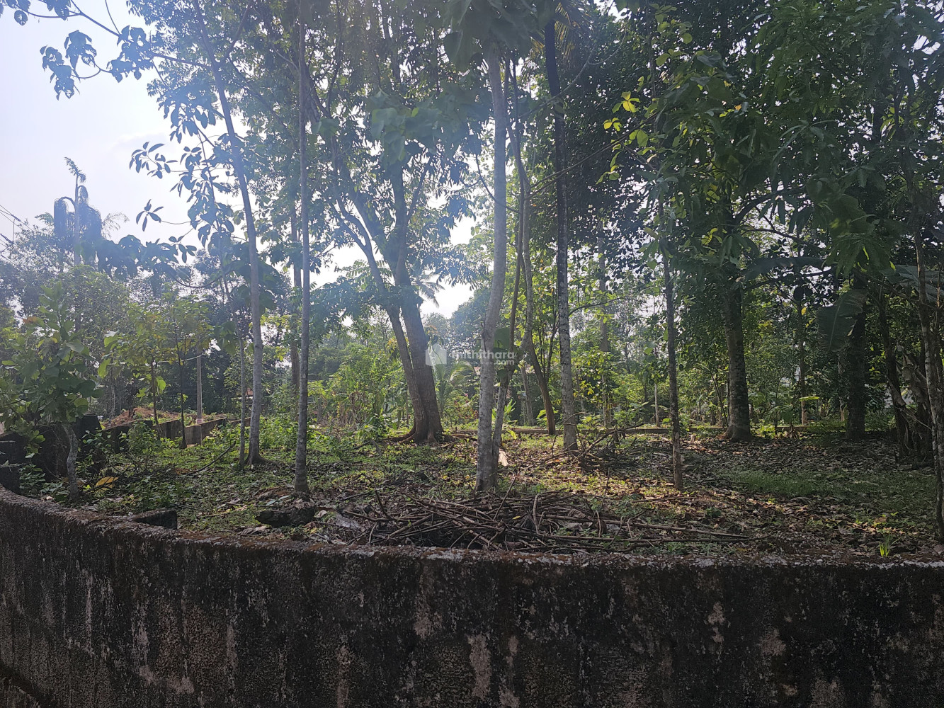 Residential Land available for Sale in Adoor Pathanamthitta
