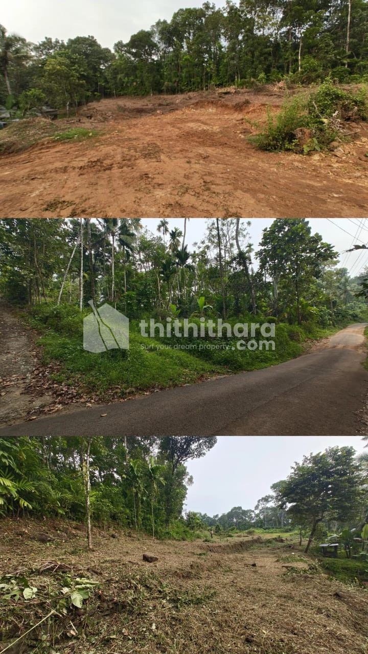Residential land for sale at Pala Kottayam