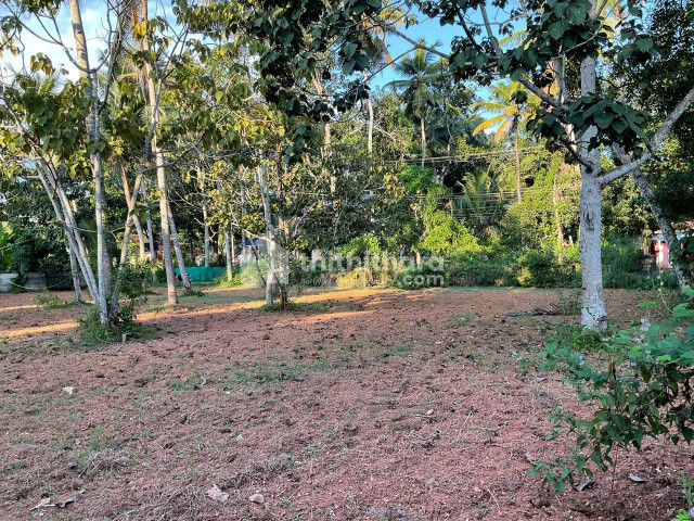 Residential Land available for Sale in Karthikappally Alappuzha
