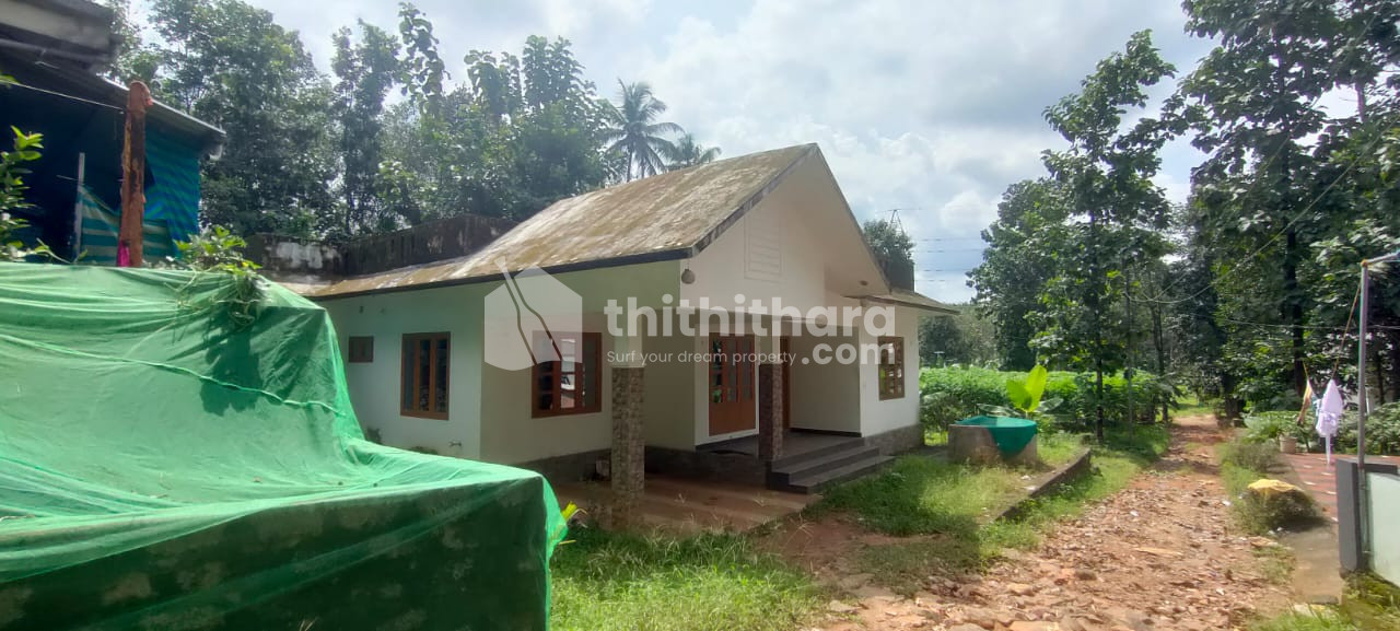 3 BHK Independent House available for Sale in Thodupuzha Idukki