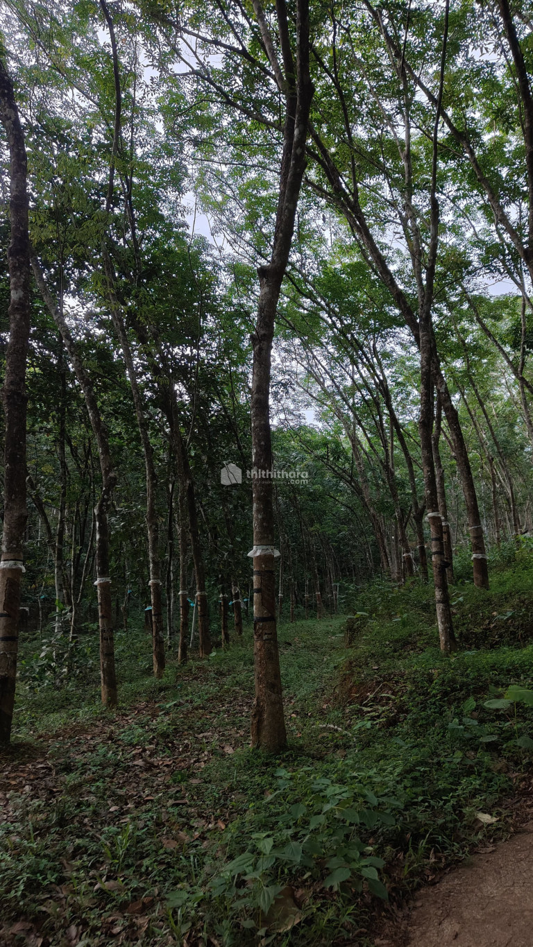 Commercial Plots available for Sale in Punalur Kollam