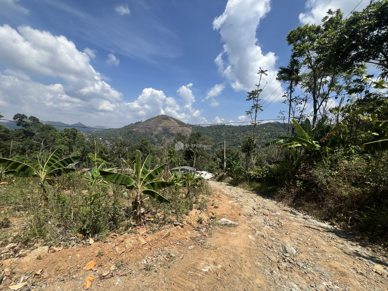 Residential Land for sale at Kattappana Idukki