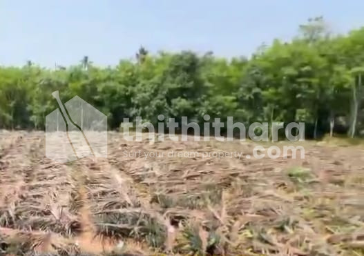 Residential Land for sale at Kunnathunad Ernakulam