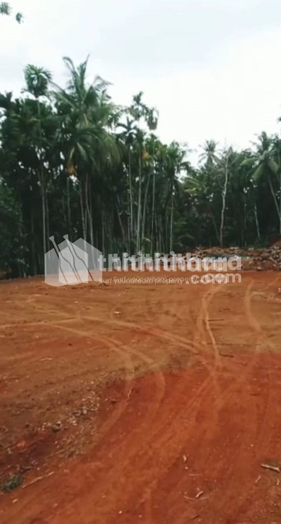 Commercial Plots available for Sale in Kuruvattur Kozhikode