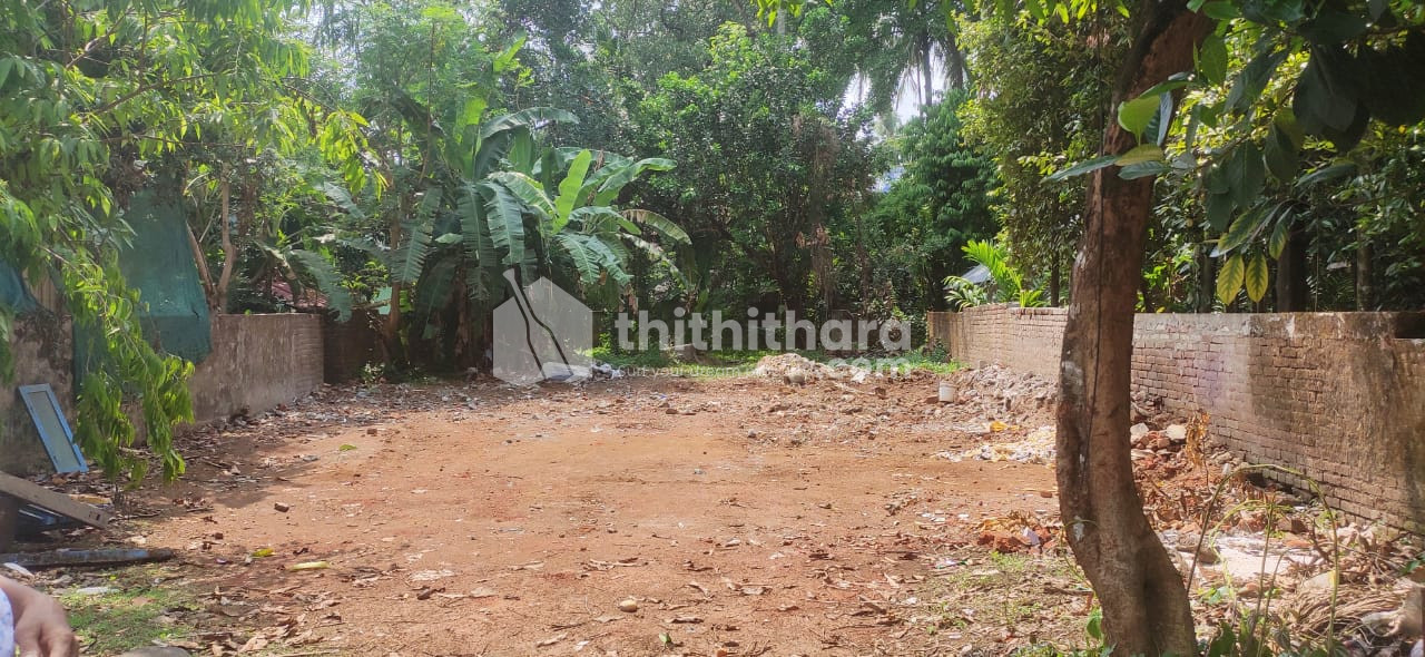 10.5 cent land for sale at Mannuthy,Thrissur