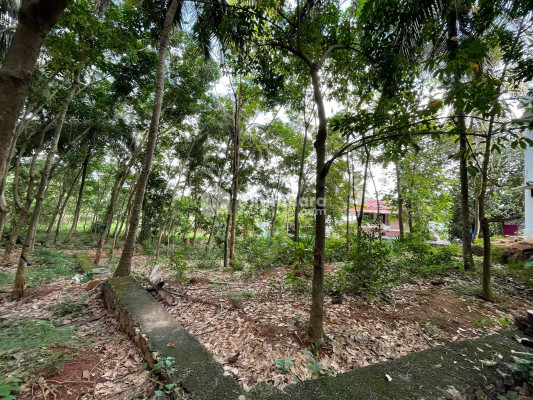 Residential Land for Sale in Kuthuparamba Kannur