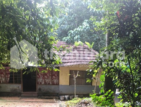 പത്തനംതിട്ട ജില്ലയിൽ ആയിരൂർ പഞ്ചായത്തിൽ  10centവില്പനക്ക് 