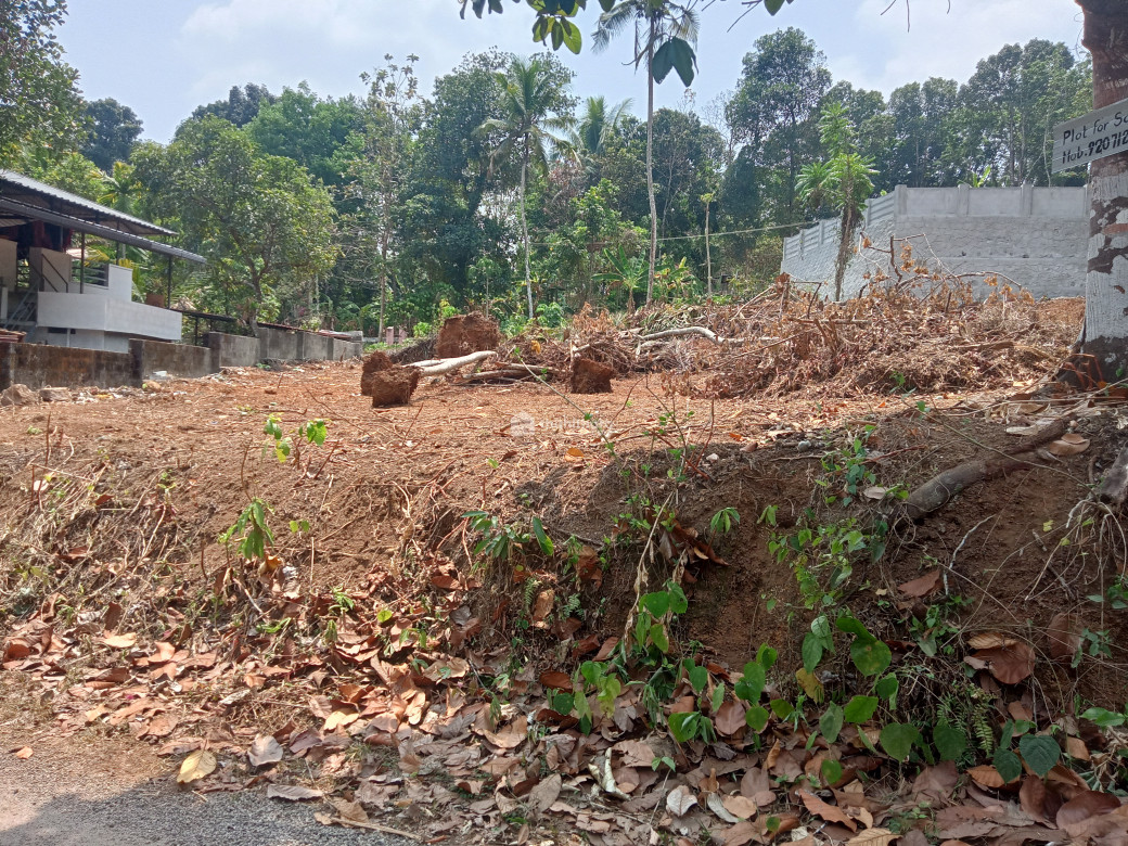 Residential land  available for sale in Pathanapuram Kollam