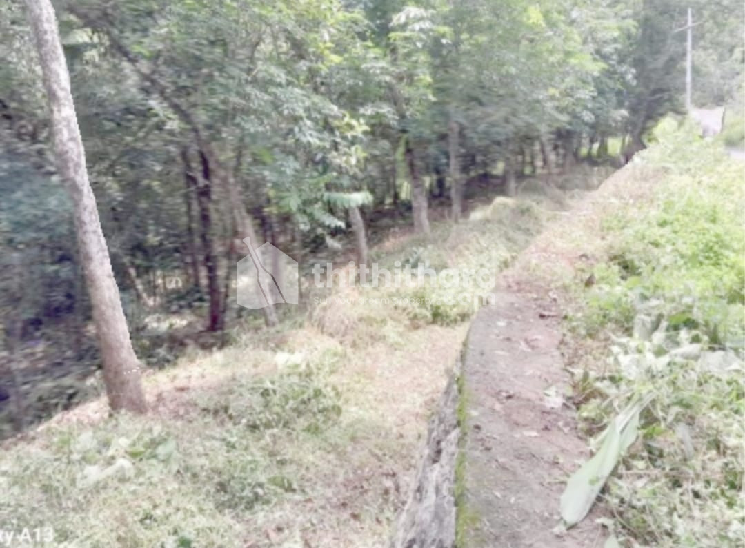 Commercial Plot available for Sale in Kozhenchery Pathanamthitta